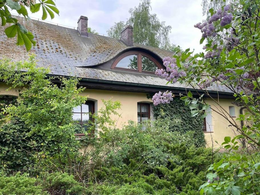 Komfortowy Dom W Lesie Miedzichowo Bagian luar foto