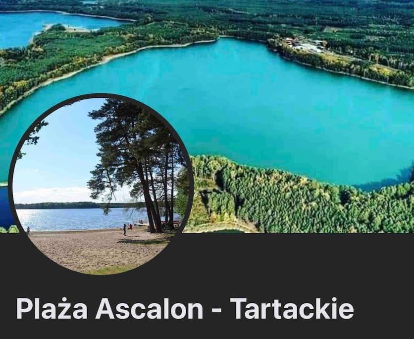 Komfortowy Dom W Lesie Miedzichowo Bagian luar foto